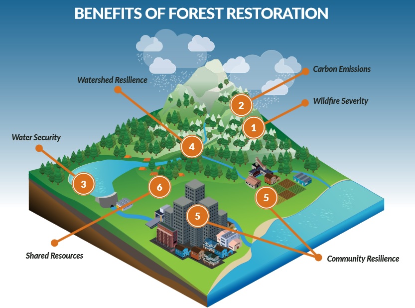 Forest Resilience Bond benefit diagram