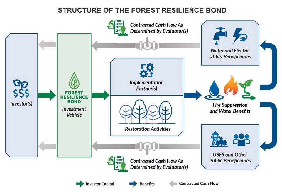 A flow chart of the Forest Resilience Bond financing plan