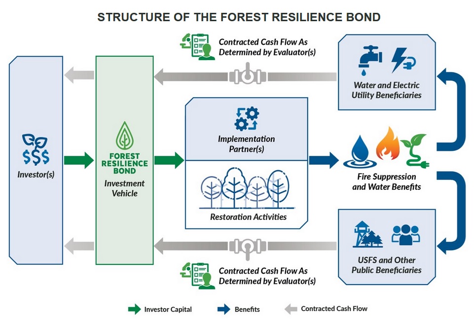 A flow chart of the Forest Resilience Bond financing plan