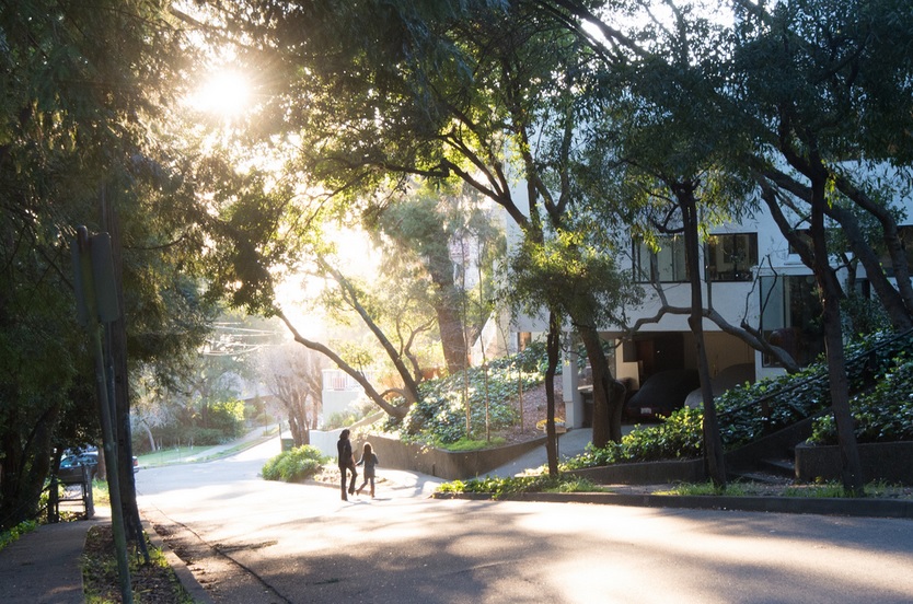 San Diego street foliage