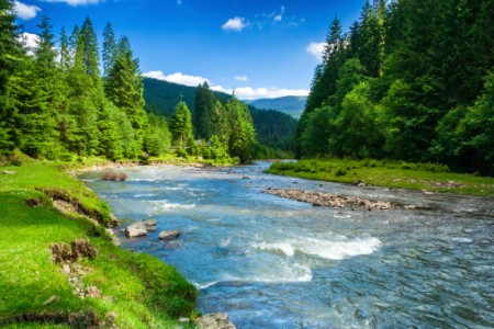 You can also read a river as a bundle of food, filtration, resilience and job creation.