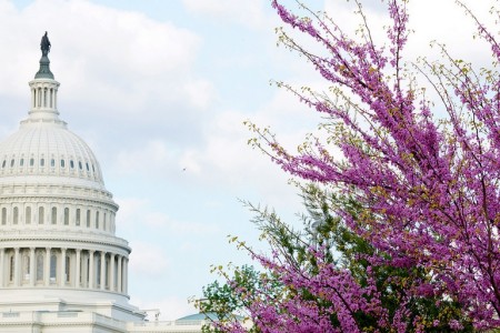 US capitol