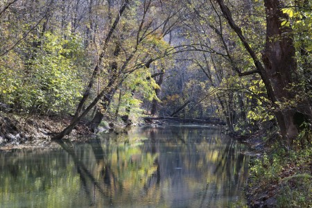 Wayne National Forest