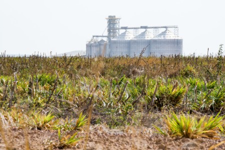 Soy farm in Brazil
