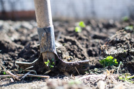 Regenerative agriculture begins here