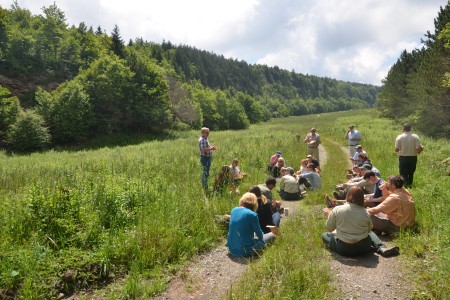 CFN Forest Service West Virginia site visit