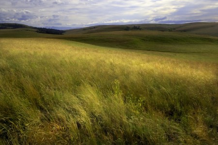 Oregon's Zumwalt Prairie, courtesy Julius Pasay of the Climate Trust