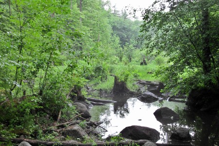 Getting closer than the pebbles in this stream