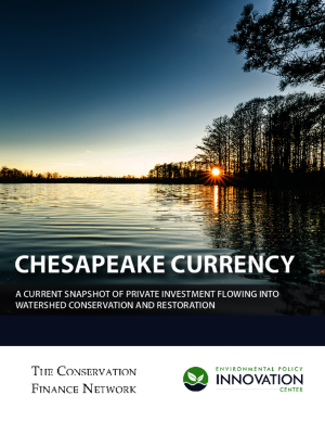 Report cover for CHESAPEAKE CURRENCY