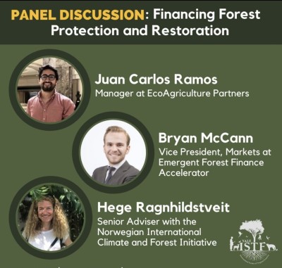 Speakers at Yale's tropical forest conference sought new financial force. 