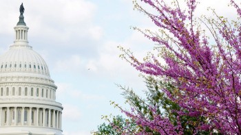 US capitol