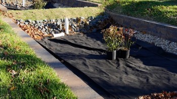 Rain gardens built by District Stormwater