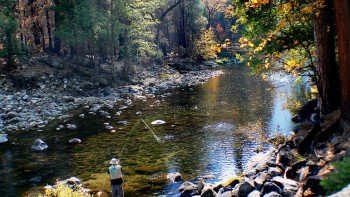 Yosemite river