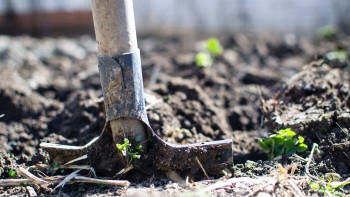 Regenerative agriculture begins here
