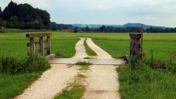 Is this the way to crop reform?