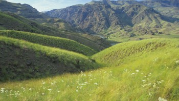 You can find a path to success