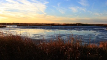 This reflects the ecosystems that can gain clarity- and investors- in Maryland