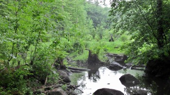 Getting closer than the pebbles in this stream