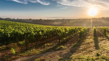 Has extractive farming had its day? 