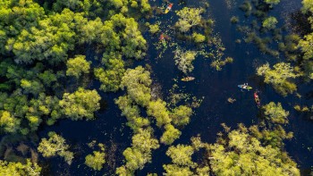Areal view of people kayaking on a river in a forested area