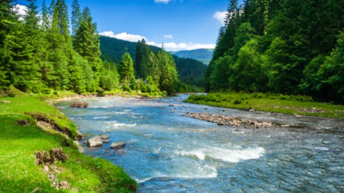 You can also read a river as a bundle of food, filtration, resilience and job creation.