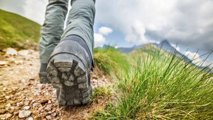 Becoming expert in conservation finance begins with a succession of mental steps. 