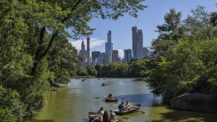 Central Park in New York City