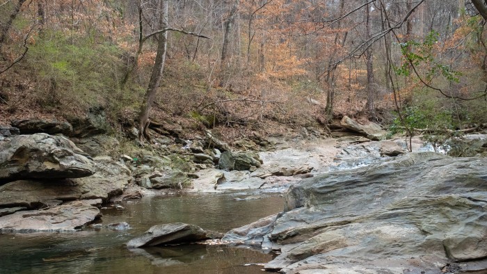Proctor Creek in Atlanta