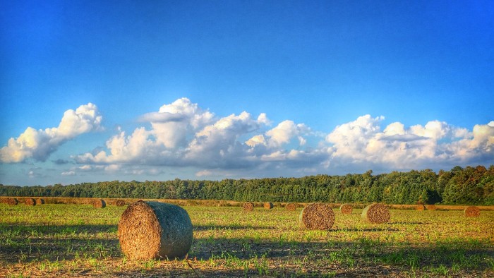 Delaware farm