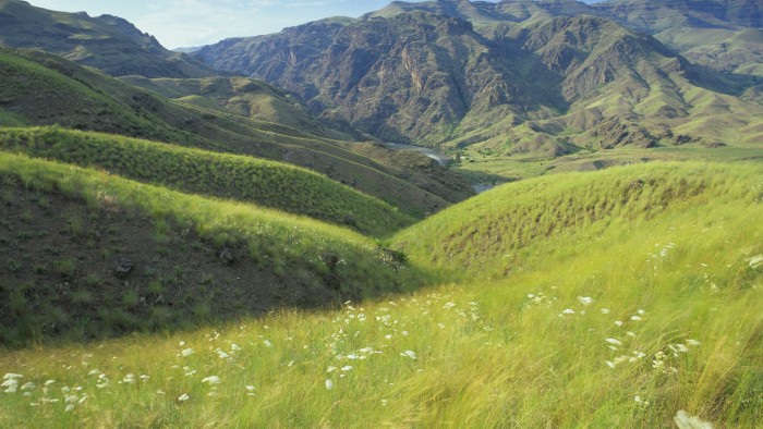 You can find a path to success