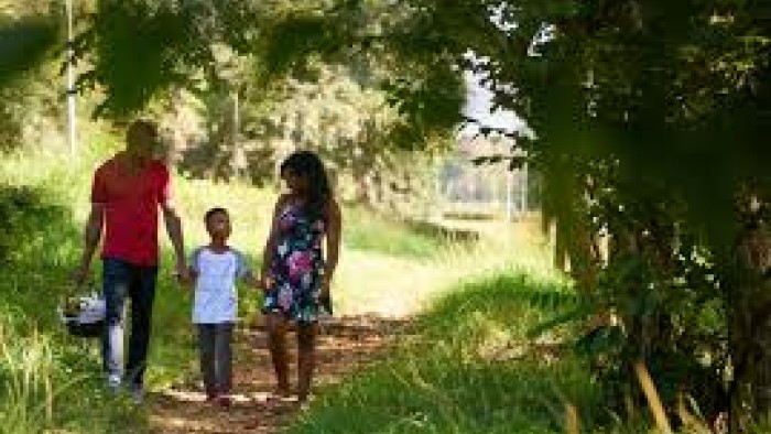 How do you sum the value of everything in, from, and under these trees?