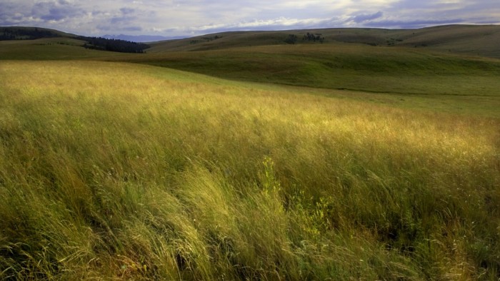 Oregon's Zumwalt Prairie, courtesy Julius Pasay of the Climate Trust