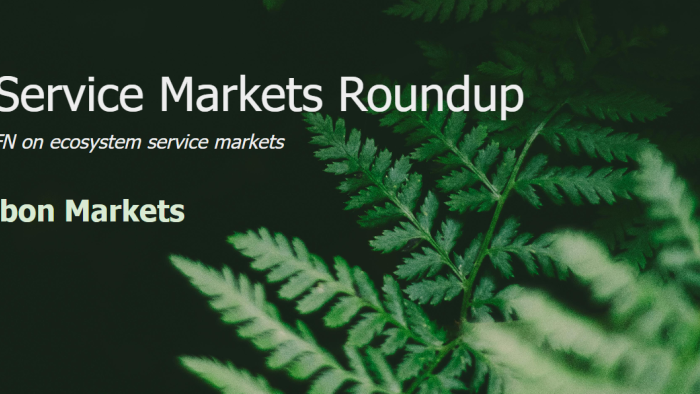 Q1 2025 Ecosystem Service Markets visual