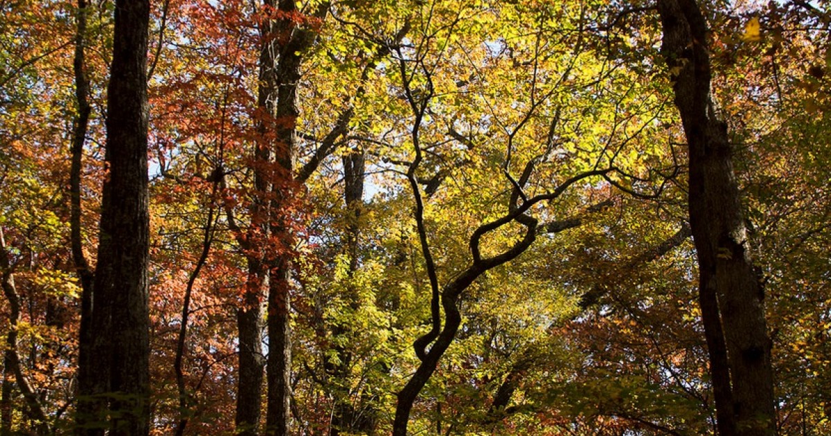 Conservation Finance Learning Lab Recap, Part Two: Harvesting a Bumper Crop of Federal Funding
