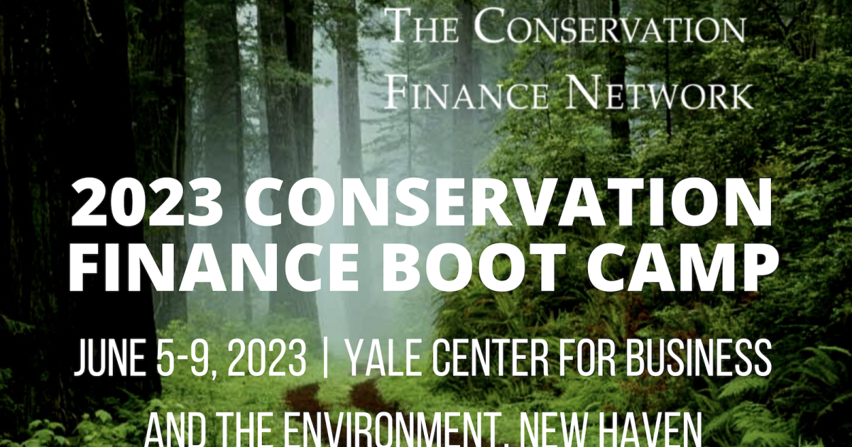 Apply for CFN's 2023 Boot Camp, In Person at Yale University