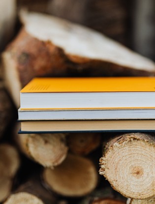 Notebooks stacked on top of a pile of cut logs