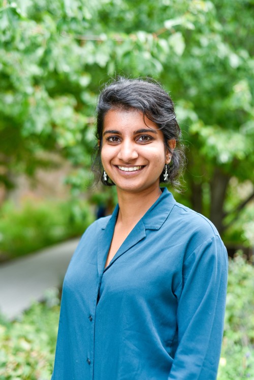 Shimul Bijoor