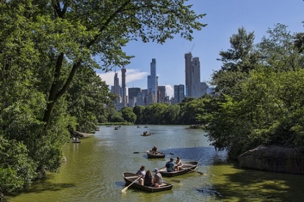 Central Park in New York City
