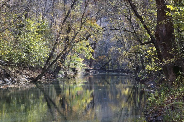 Wayne National Forest