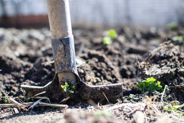 Regenerative agriculture begins here