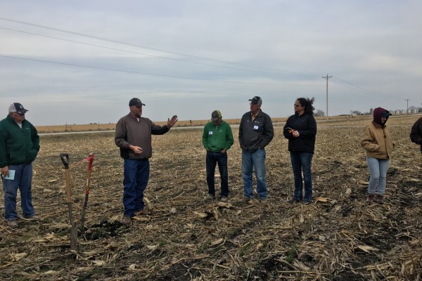 Cover Crops for All Day with RAI 