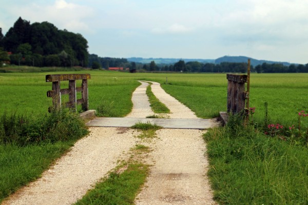 Is this the way to crop reform? 