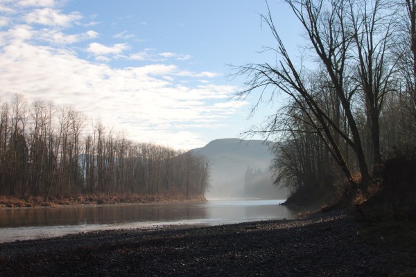 Cash flows and rivers flow