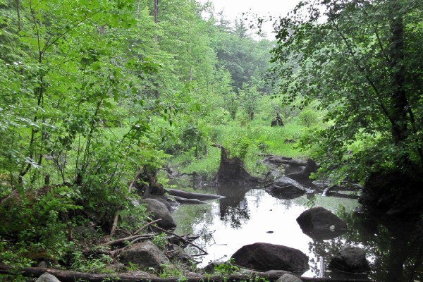 Getting closer than the pebbles in this stream