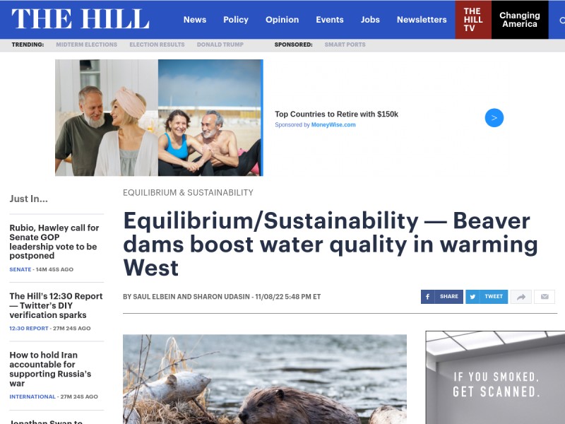 thumbnail screenshot of source article