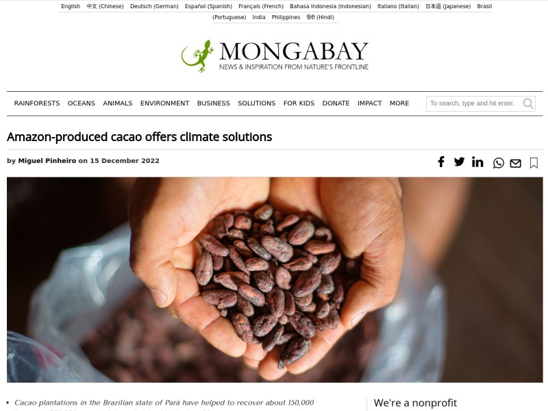 thumbnail screenshot of source article