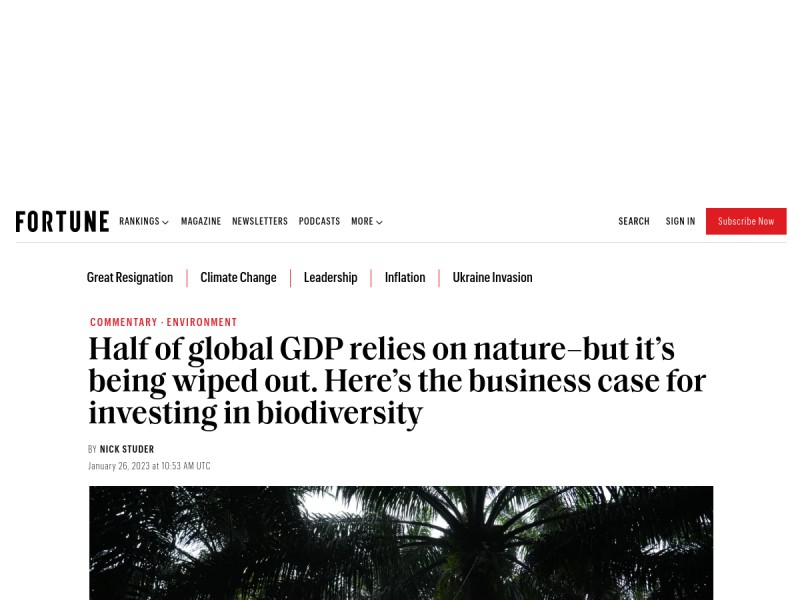 thumbnail screenshot of source article