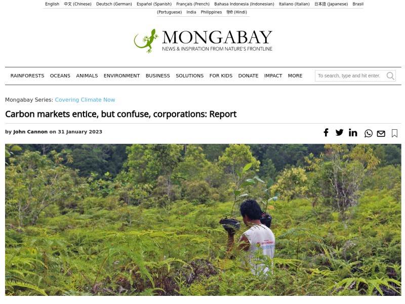 thumbnail screenshot of source article