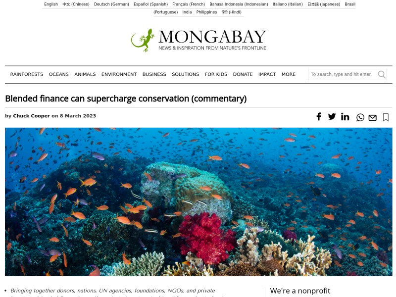 thumbnail screenshot of source article