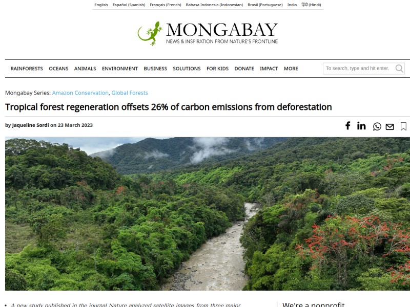 thumbnail screenshot of source article